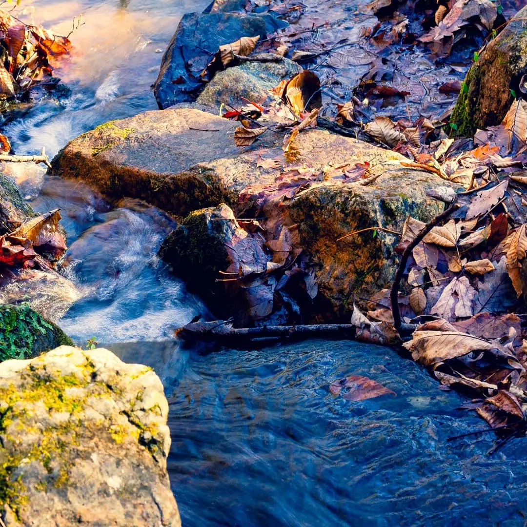 Small blue creek moving through mossy rocks and autumn leaves