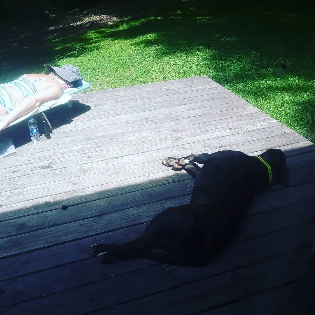 A dog and a person resting in separate patches of shade and sun on a wooden deck